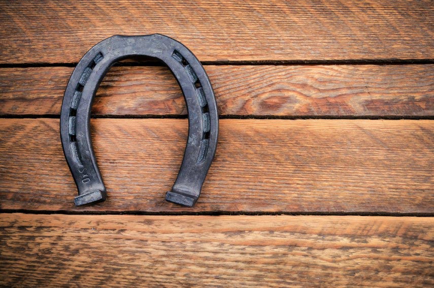 Horseshoes